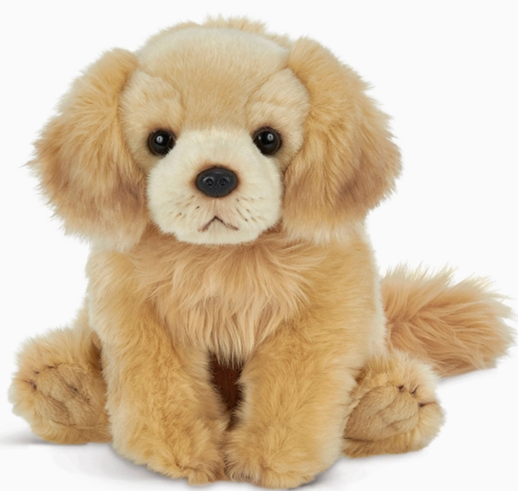 Goldie the Golden Retriever